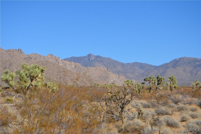 5.5ACRES S Suzette, Yucca, AZ 86438