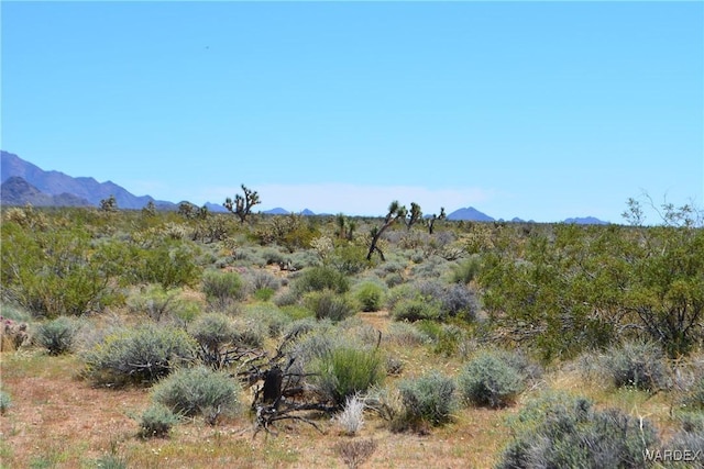 5.5ACRES S Suzette, Yucca, AZ 86438