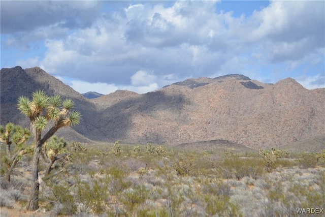 5.5ACRES S Suzette, Yucca, AZ 86438