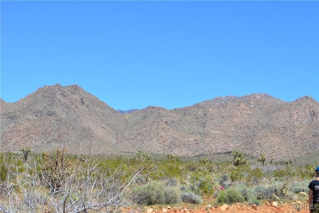 5.5ACRES S Suzette, Yucca, AZ 86438