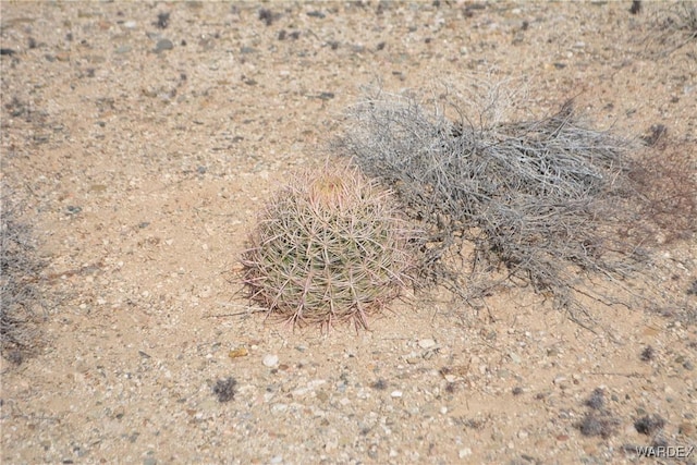 5.5ACRES S Suzette, Yucca, AZ 86438