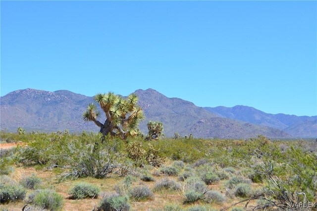 5.5ACRES S Suzette, Yucca, AZ 86438