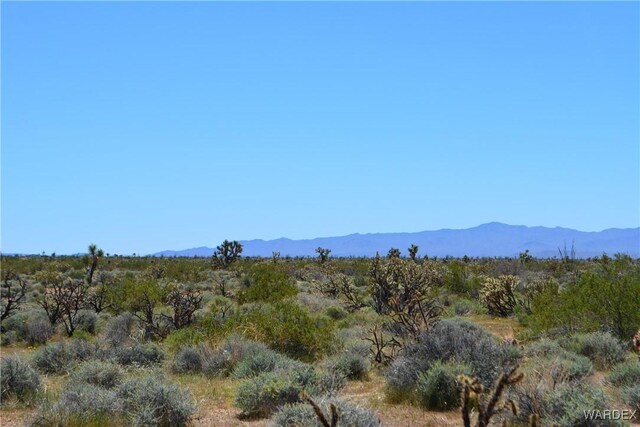5.5ACRES S Suzette, Yucca, AZ 86438