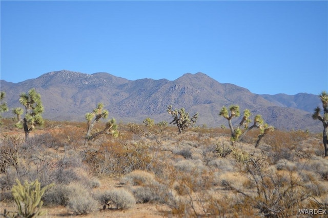 5.5ACRES S Suzette, Yucca, AZ 86438