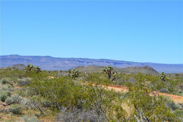 5.5ACRES S Suzette, Yucca, AZ 86438