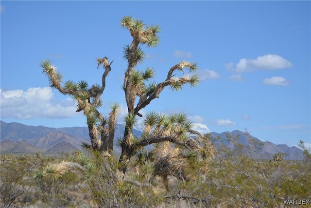 5.5ACRES S Suzette, Yucca, AZ 86438