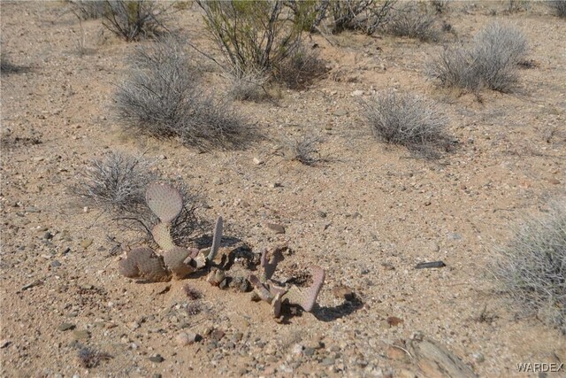 5.5ACRES S Suzette, Yucca, AZ 86438