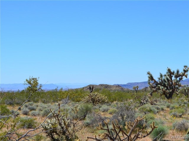 5.5ACRES S Suzette, Yucca, AZ 86438