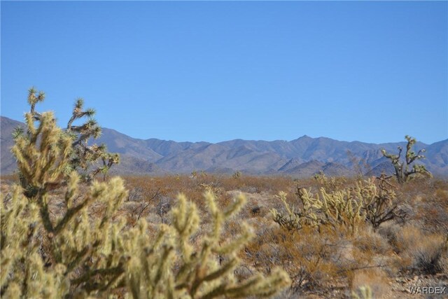 5.5ACRES S Suzette, Yucca, AZ 86438