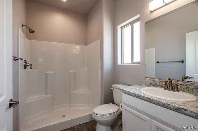 bathroom with a shower, vanity, and toilet