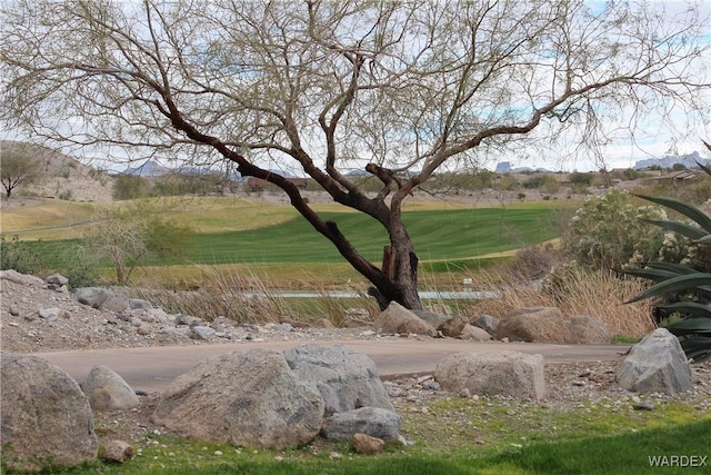 1350 Riverboat, Bullhead City, AZ 86429 - photo 25