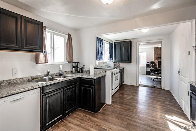 kitchen with white appliances, dark wood-style flooring, and plenty of natural light