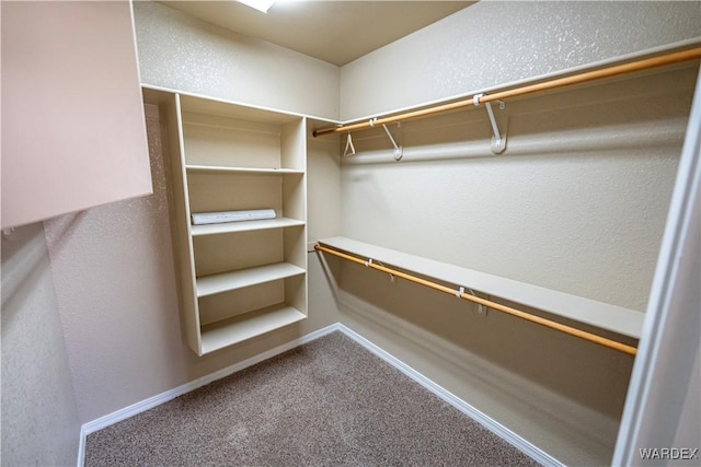 walk in closet featuring carpet floors