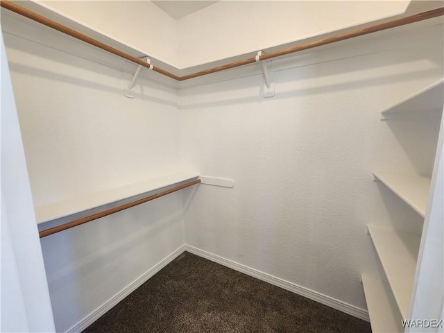 spacious closet with carpet floors