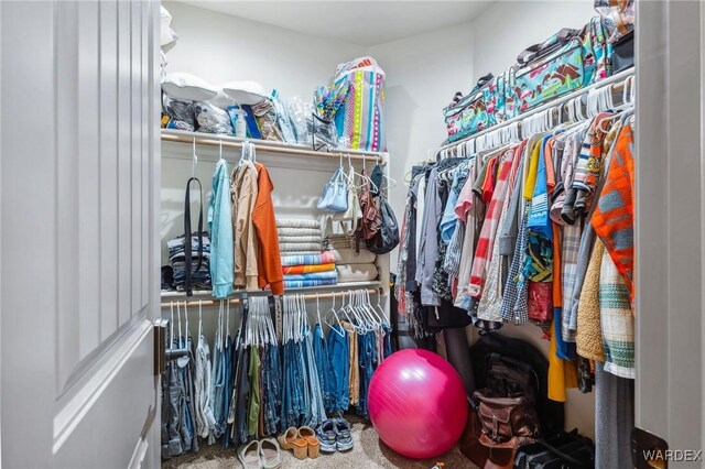 walk in closet featuring carpet floors