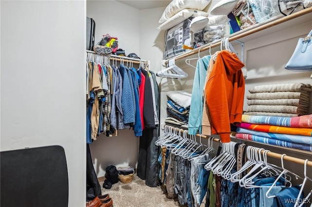 spacious closet featuring carpet flooring