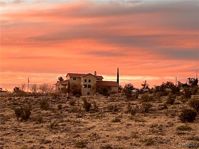 view of local wilderness