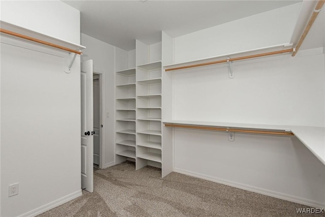 spacious closet with light carpet