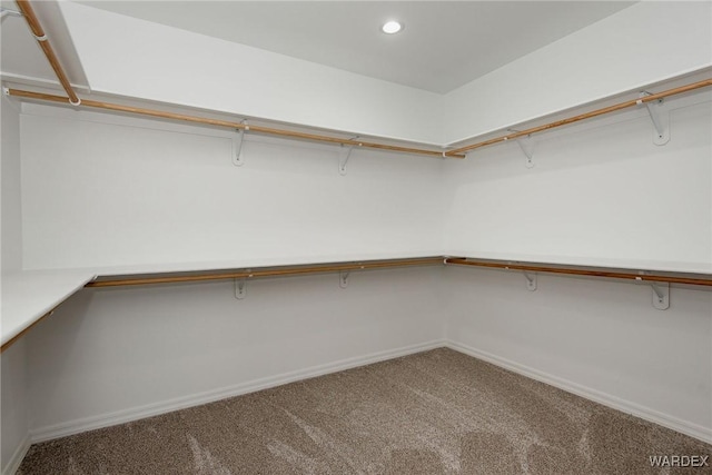 spacious closet with carpet flooring