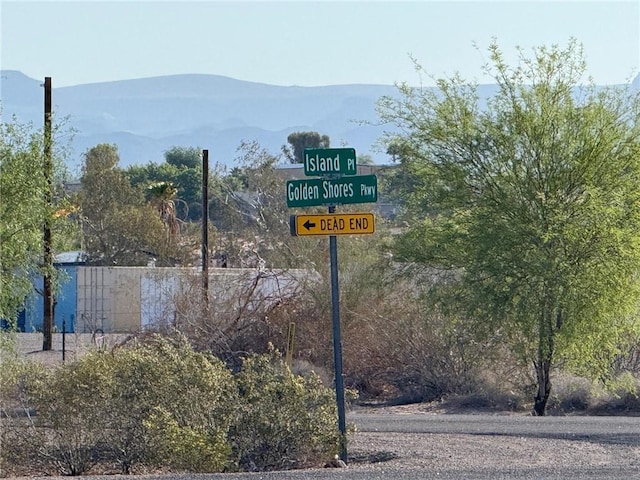4988 E Island Pl, Topock, AZ 86436 - photo 2
