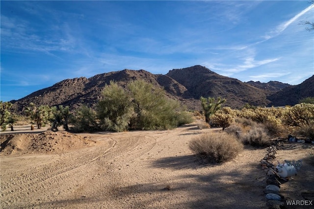 view of mountain feature