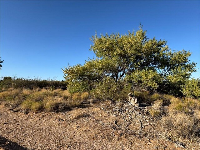 7084 E Concho Dr, Kingman, AZ 86401 - photo 5