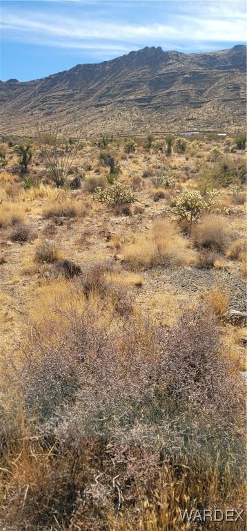 167 W Hwy 68, Golden Valley, AZ 86413 - photo 15
