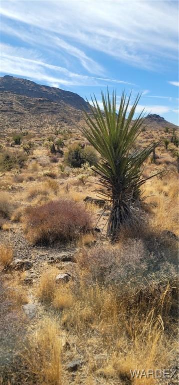 167 W Hwy 68, Golden Valley, AZ 86413 - photo 16
