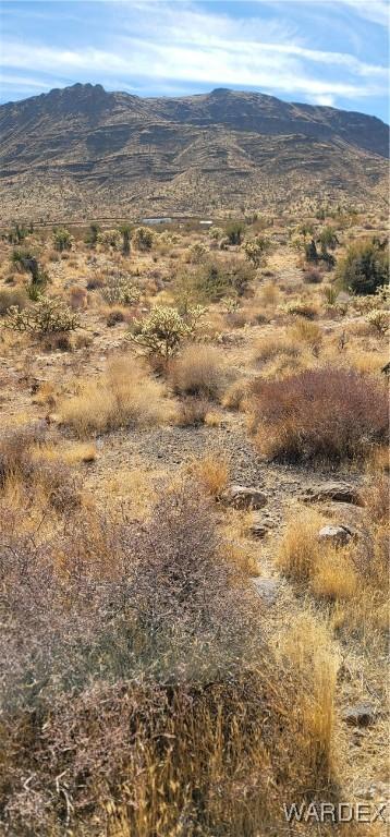 167 W Hwy 68, Golden Valley, AZ 86413 - photo 13