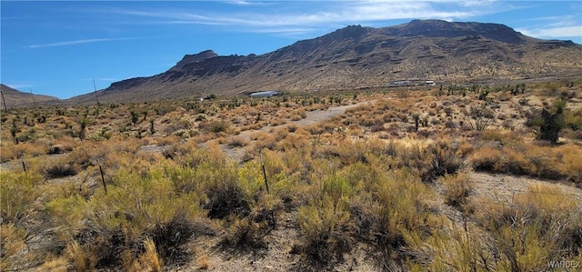 167 W Hwy 68, Golden Valley, AZ 86413 - photo 24