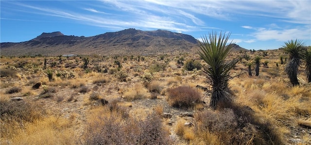 167 W Hwy 68, Golden Valley, AZ 86413 - photo 9