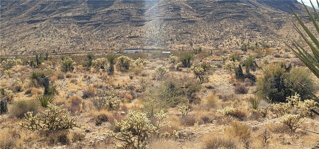 167 W Hwy 68, Golden Valley, AZ 86413 - photo 6