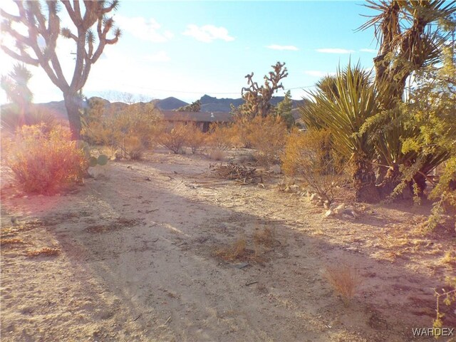 view of local wilderness featuring a mountain view