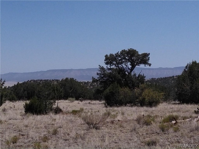 Listing photo 3 for LOT147 Antalope Run Rd, Seligman AZ 86337