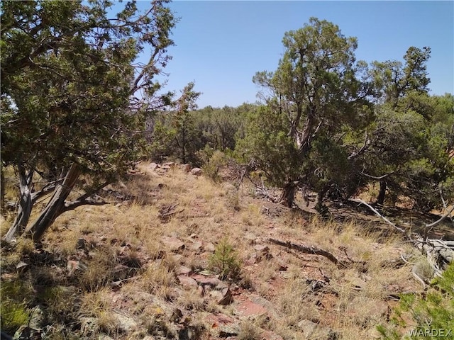 Listing photo 2 for LOT147 Antalope Run Rd, Seligman AZ 86337