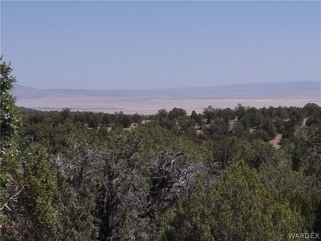 LOT147 Antalope Run Rd, Seligman AZ, 86337 land for sale