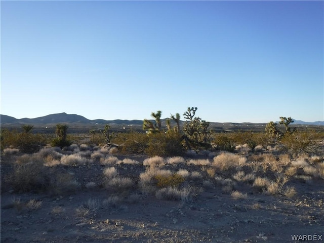 28375 N Sandy Point Dr, Meadview AZ, 86444 land for sale