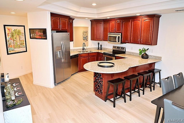 kitchen with stainless steel appliances, a peninsula, a sink, reddish brown cabinets, and a tray ceiling