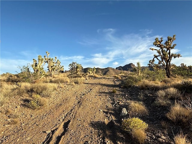 328-05-475 N Peach Dr, Dolan Springs, AZ 86441