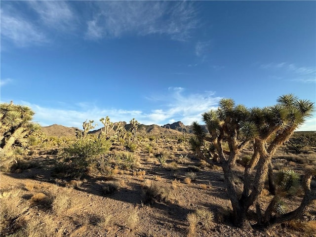 328-05-475 N Peach Dr, Dolan Springs, AZ 86441