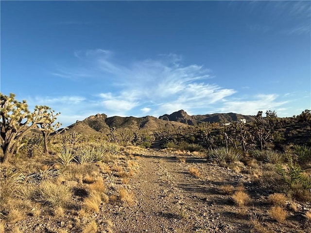 328-05-475 N Peach Dr, Dolan Springs, AZ 86441