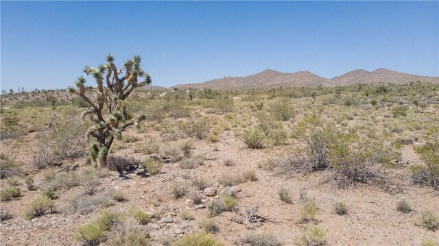8255 Santa Cruz Dr, White Hills, AZ 86445 - photo 9