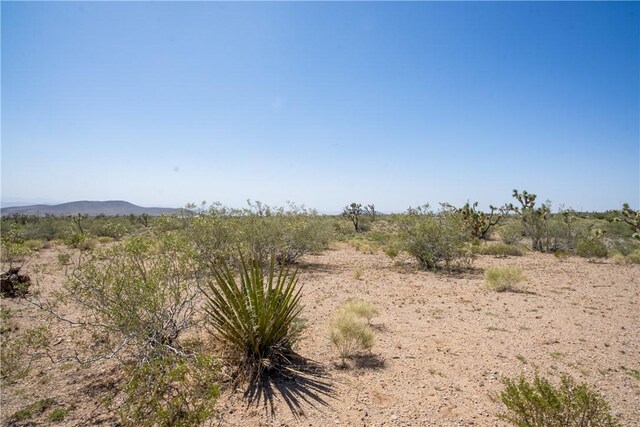 8255 Santa Cruz Dr, White Hills, AZ 86445 - photo 18