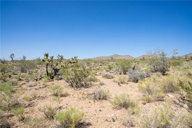 8255 Santa Cruz Dr, White Hills, AZ 86445 - photo 13
