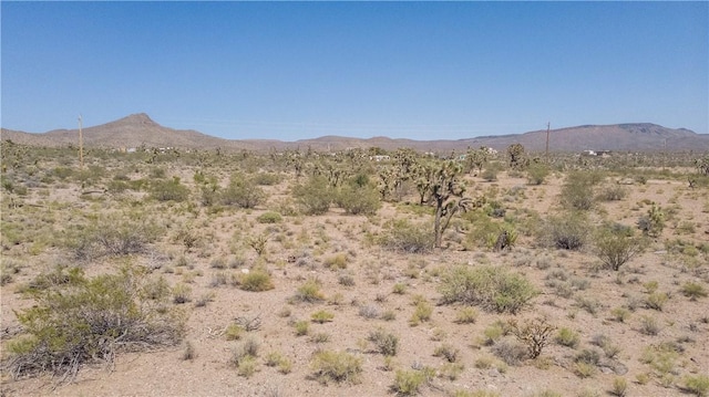 8255 Santa Cruz Dr, White Hills, AZ 86445 - photo 8