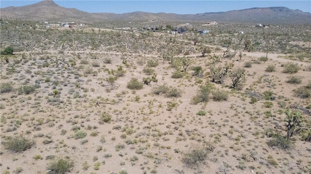8255 Santa Cruz Dr, White Hills, AZ 86445 - photo 6
