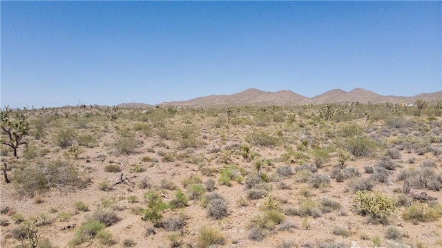 8255 Santa Cruz Dr, White Hills, AZ 86445 - photo 2