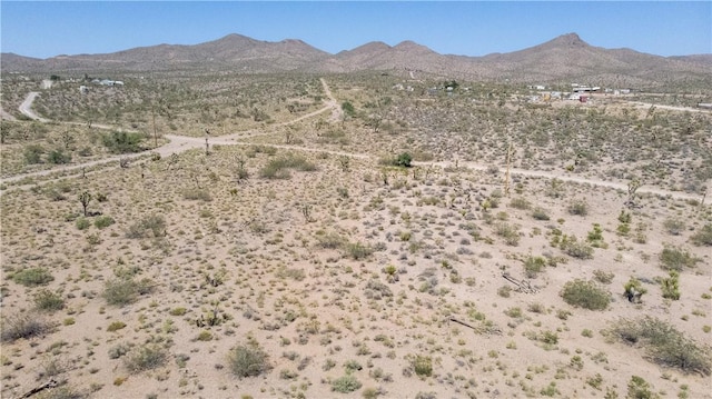 8255 Santa Cruz Dr, White Hills, AZ 86445 - photo 10