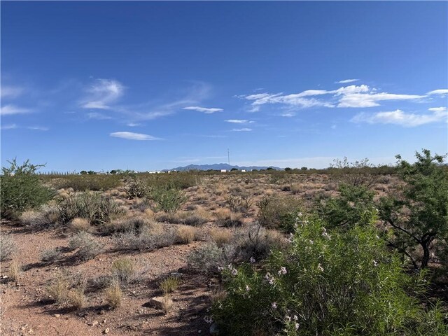7264 E Stetson Dr, Kingman, AZ 86401 - photo 5