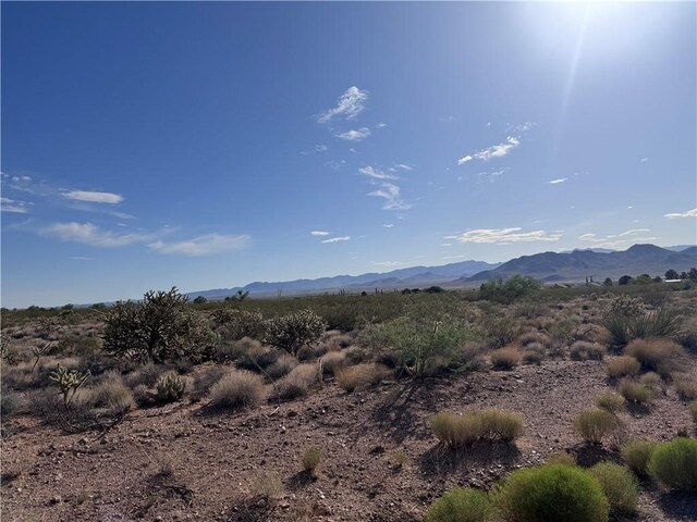 7264 E Stetson Dr, Kingman, AZ 86401 - photo 12